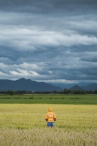 農業のクラウドファンディングにおける効果的なマーケティング戦略は？