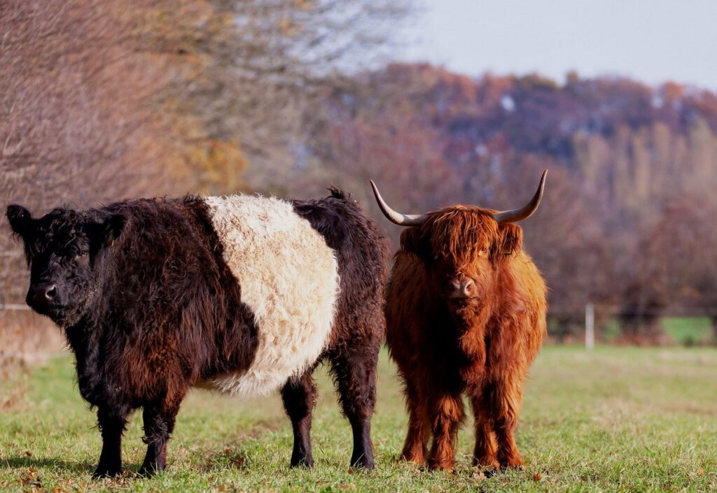 農業を支援するクラウドファンディングのローカルプロジェクトとは？