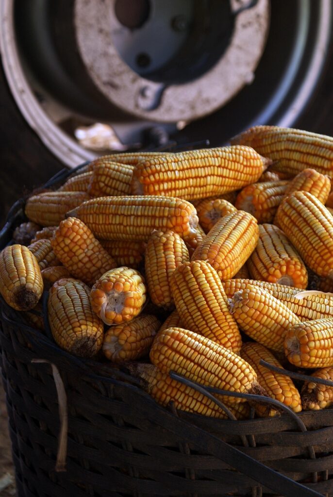 地方創生における農業のクラウドファンディング支援はどのように行われているのか？