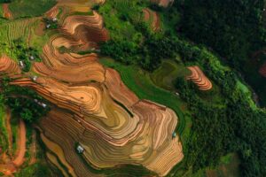 農業クラウドファンディング登録サイトの選び方と比較ポイントは？