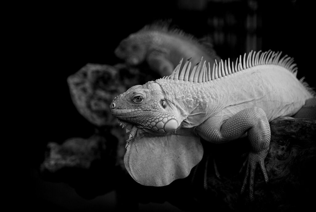 クラウドファンディングを利用した地方の起業支援にはどんなメリットがある？