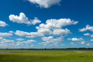 クラウドファンディングを活用した地域活性化の成功例とは？