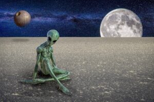 外国人支援による農業クラファンの成功した参加事例は？