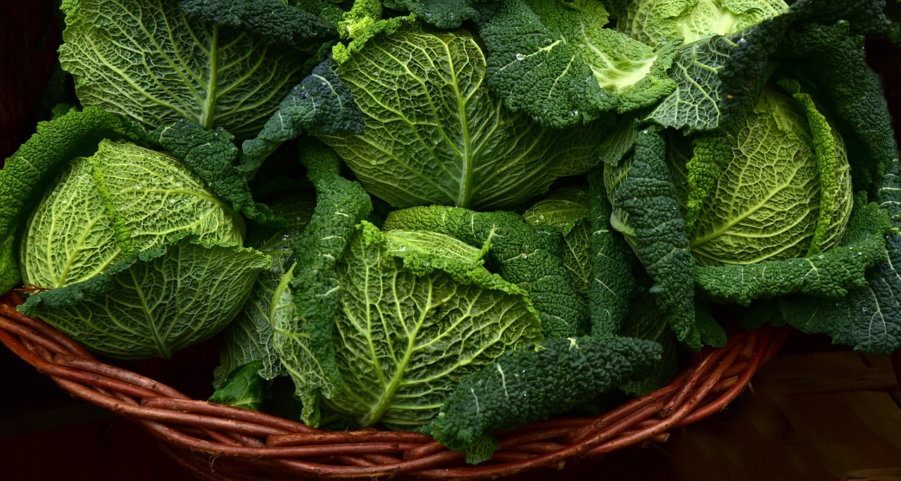 野菜を使ったクラファンの成功プロジェクト事例は？