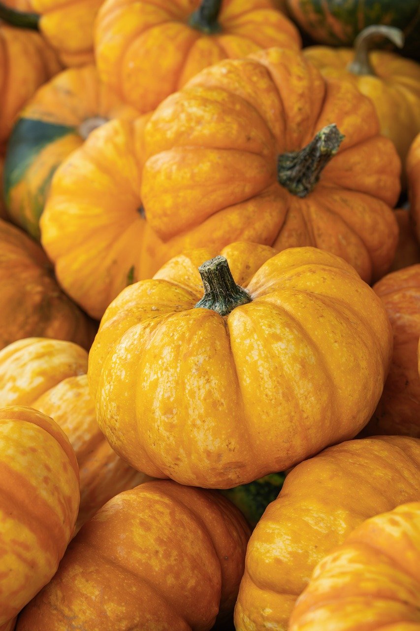 有機農業のクラファン成功事例紹介は？