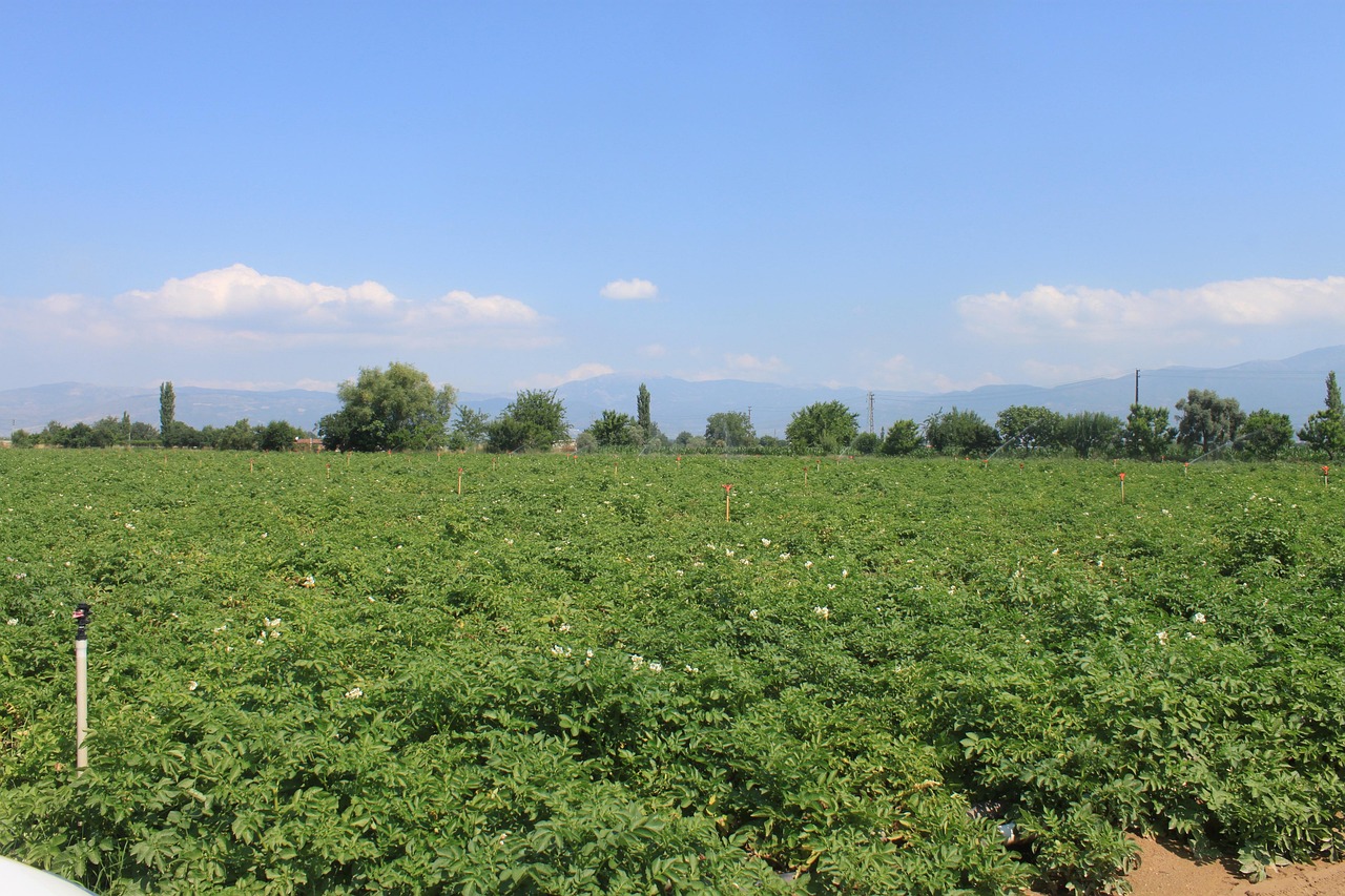 農業クラファンで地域課題を解決する方法とは？